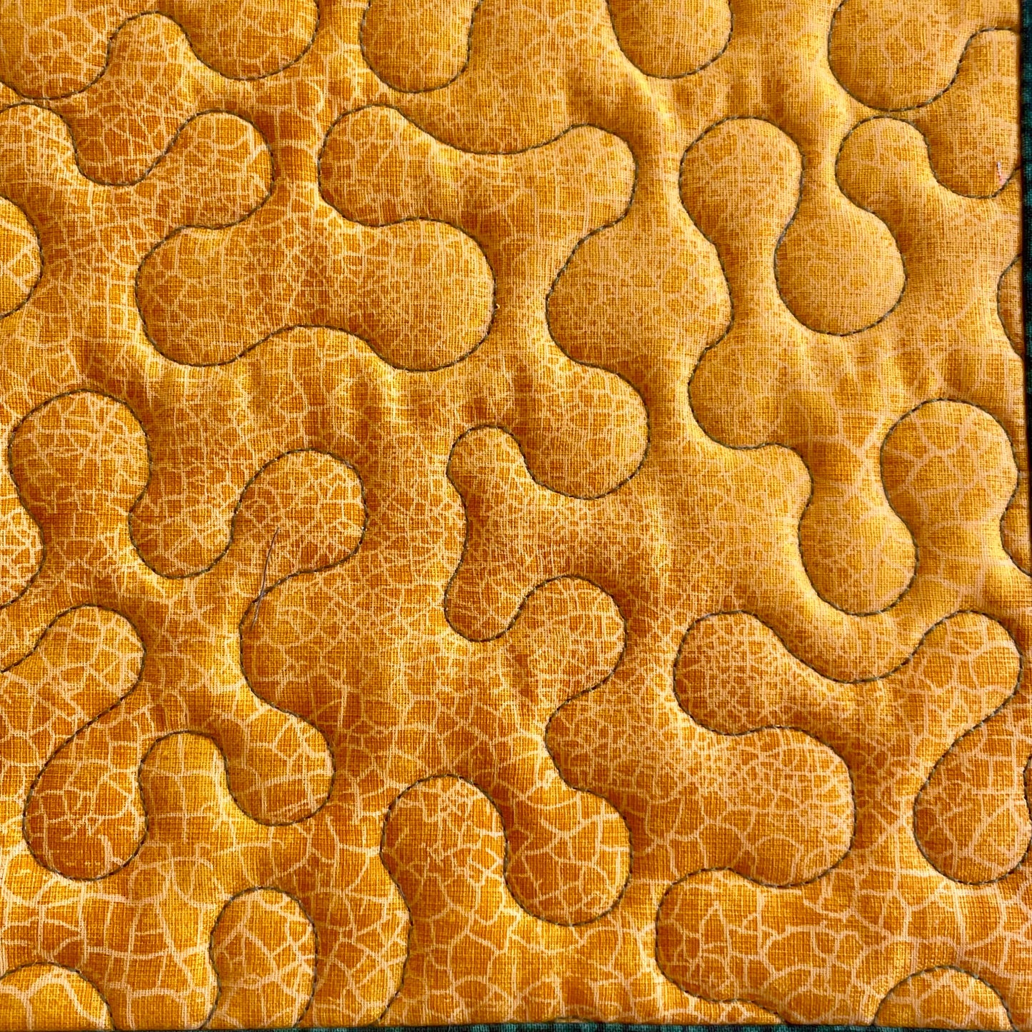 Green Bay Sports Team Potholders, Green and Yellow Sports Team Kitchenware, Green Bay Packers Inspired Potholders, Football Team Potholders